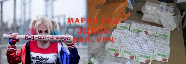 хмурый Каменногорск