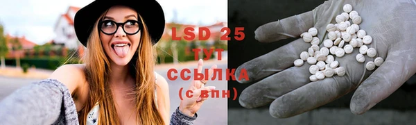 хмурый Каменногорск