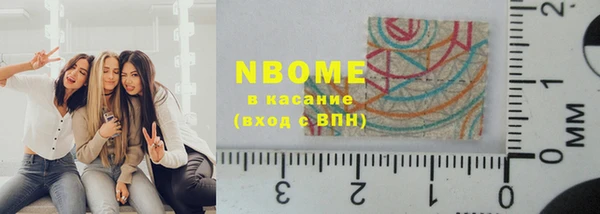 хмурый Каменногорск