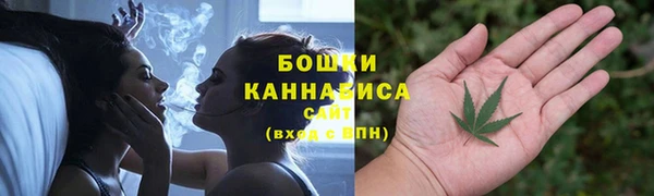 хмурый Каменногорск