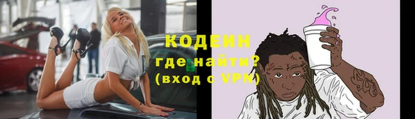 хмурый Каменногорск