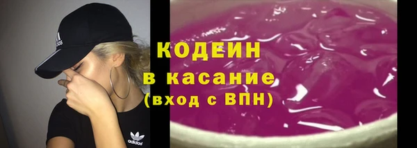 хмурый Каменногорск