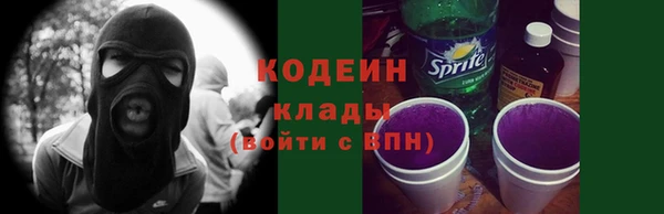 хмурый Каменногорск