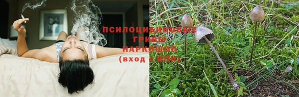 хмурый Каменногорск