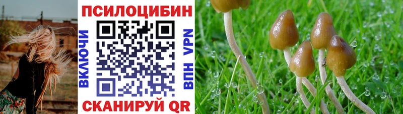 магазин    Щёлково  Галлюциногенные грибы ЛСД 
