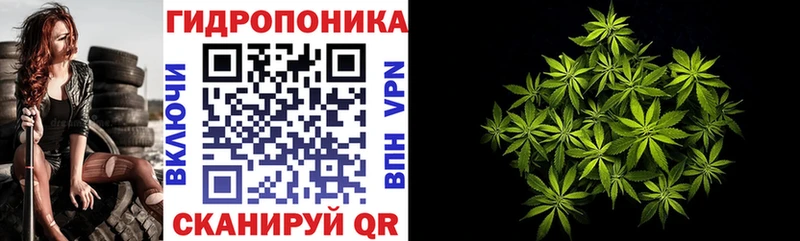 Марихуана план кракен маркетплейс Щёлково